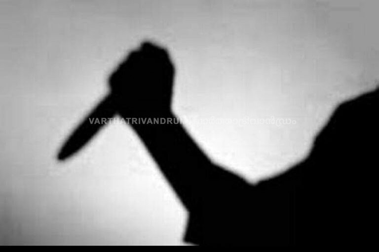 ക്ഷേത്രോത്സവത്തിനിടെ ചീട്ട് കളി സംഘത്തെ പിടികൂടാനെത്തിയ പൊലീസുകാരന് കുത്തേറ്റു