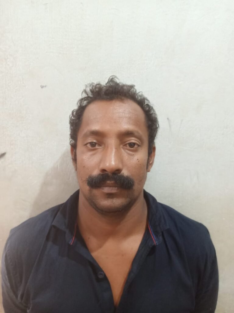 ബാലികയ്ക്ക് നേരെ ലൈംഗിക അതിക്രമം പ്രതി പിടിയിൽ 