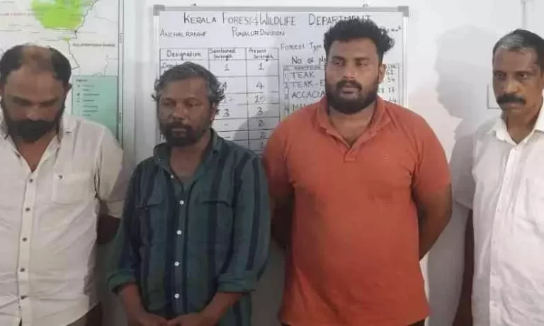 തിമിംഗല ഛർദ്ദിയുമായി നാല് പേർ പൊലീസിൻ്റെ പിടിയിലായി.
