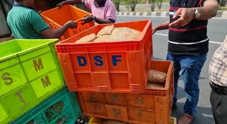 മീന്‍ കയറ്റിവന്ന വണ്ടിയില്‍ കഞ്ചാവ് പിടികൂടി