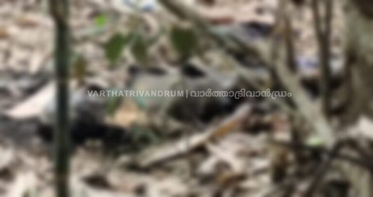 പാലോടിന് സമീപം വനത്തിനുള്ളിൽ മൂന്നാഴ്ചയോളം പഴക്കമുള്ള മൃതദേഹം കണ്ടെത്തി