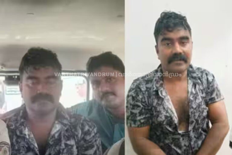 പട്ടാപ്പകല്‍ ബൈക്കിലെത്തി യുവതിയുടെ മാല പൊട്ടിച്ചു കടന്നയാള്‍ അറസ്റ്റില്‍