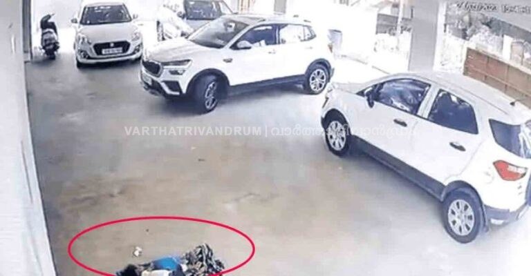 അമ്മ പാര്‍ക്കിങ് ഏരിയയില്‍ കിടത്തി ഉറക്കി; വാഹനം കയറി 3 വയസ്സുകാരിക്ക് ദാരുണാന്ത്യം