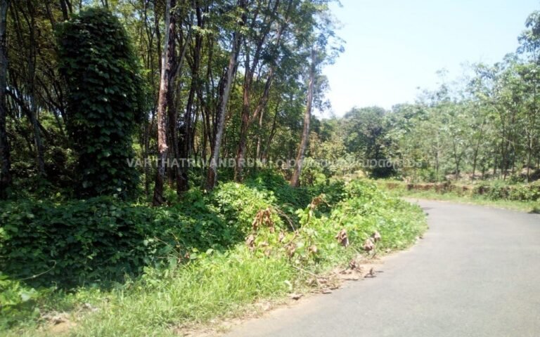 കോട്ടയത്ത് ഭൂമിക്കടിയിൽ നിന്ന് മുഴക്കം; ആശങ്കയിൽ ജനം