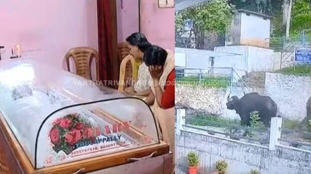 കാട്ടുപോത്തിനെ കൊല്ലില്ലെന്ന് വനംവകുപ്പ്, മൃതദേഹവുമായി പ്രതിഷേധത്തിന് ഒരുങ്ങി നാട്ടുകാർ
