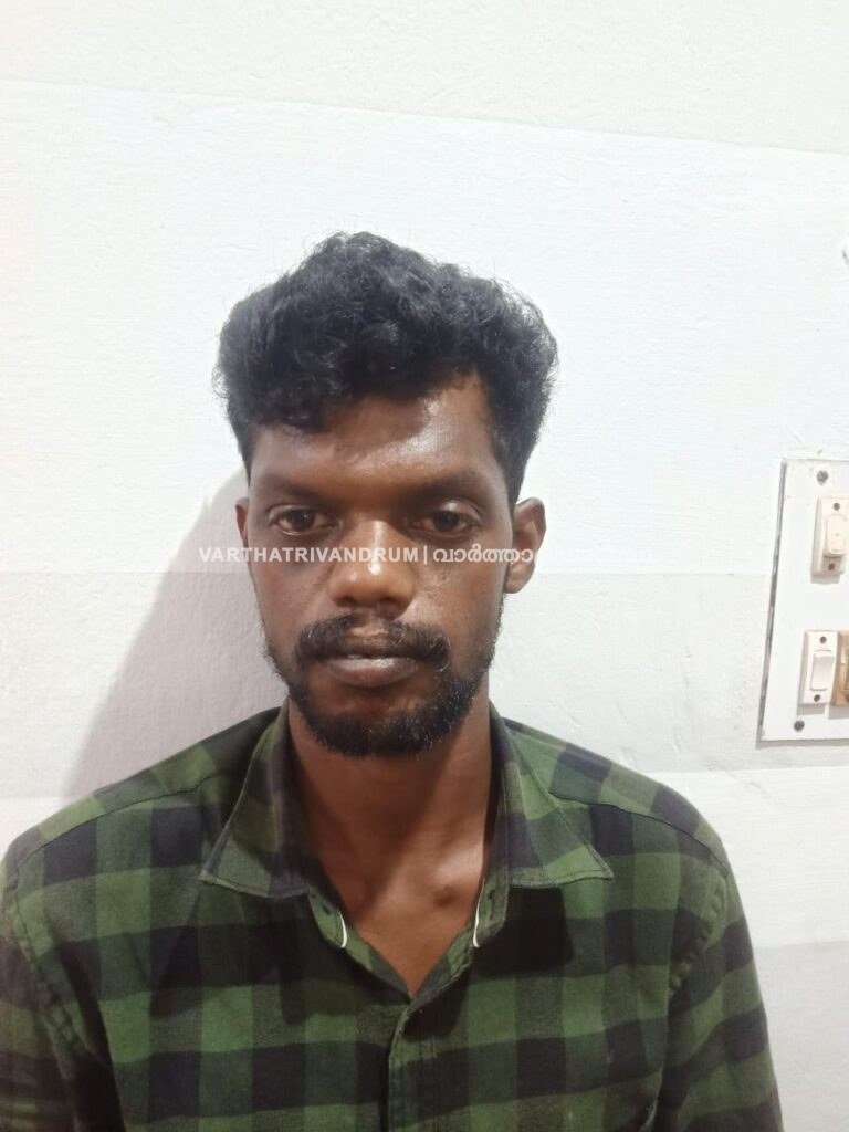 അമ്മയെയും വൃദ്ധയായ അമ്മുമ്മയെയും ആക്രമിച്ച മകൻ അറസ്റ്റിൽ