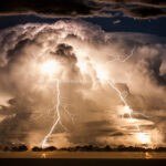 image_search_1701323201781